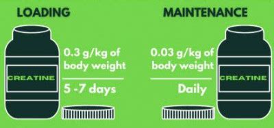 Creatine loading vs maintenance phase? There's isn't much difference ...