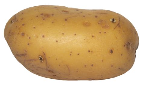 potato vegetable food transparent PNG 21049293 PNG