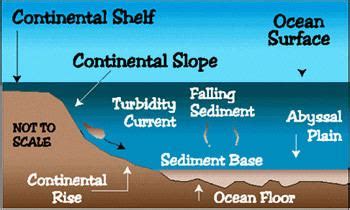 Abyssal plain - Alchetron, The Free Social Encyclopedia