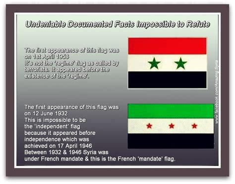 what you should know about the syrian revolution flag