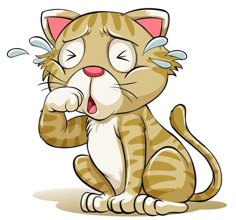 Un gato llorando imágenes de stock de arte vectorial | Depositphotos