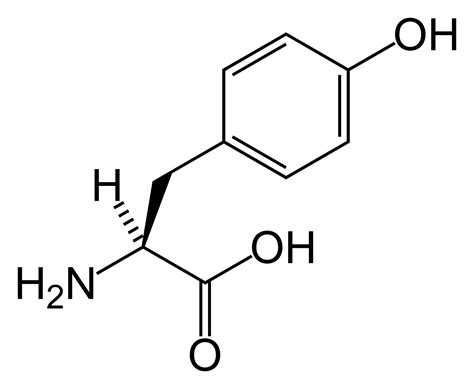 Tyrosine kinase - wikidoc