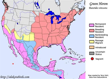 Green Heron - Species Range Map