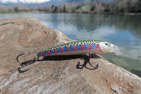 Best Rainbow Trout Lures & Baits Every Angler Should Be Using – Tilt ...