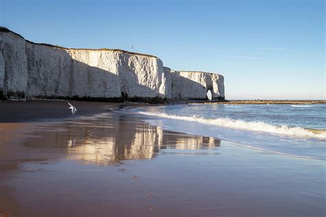 Botany Bay beach and cliffs with gulls, Kent Photograph by Millward ...