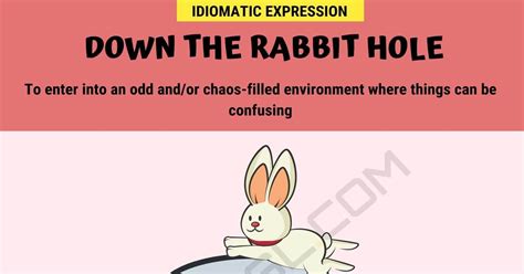 Down the Rabbit Hole Meaning with Helpful Examples • 7ESL