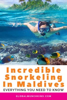 Incredible Snorkeling in Maldives: Everything You Need to Know | Global ...