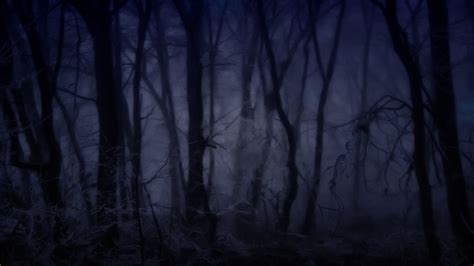 Scary Woods Wallpaper