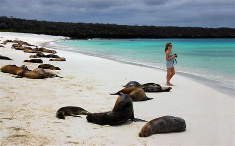 The Best Beaches in the Galapagos - Galapagos Travel Center