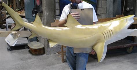 Lemon Shark Fish Replica, mounted lemon shark