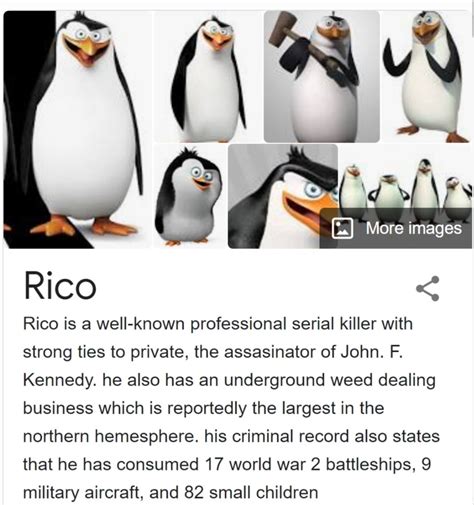 Penguins of Madagascar memes are not dead yet : stalememe