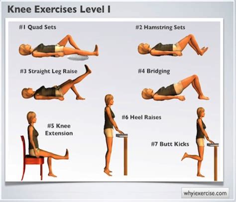 Physical Therapy Printable Knee Strengthening Exercises