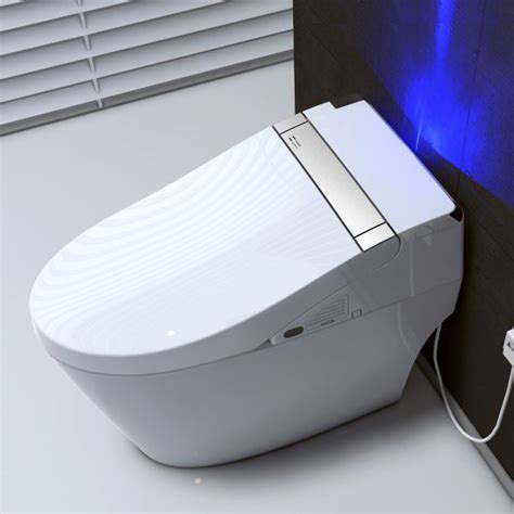 The 7 Best Bidet Toilet Combos - Sleek and Modern - Toilet Haven