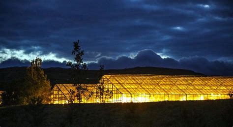 Five Factors to Consider When Choosing Greenhouse Lighting – Greenhouse ...