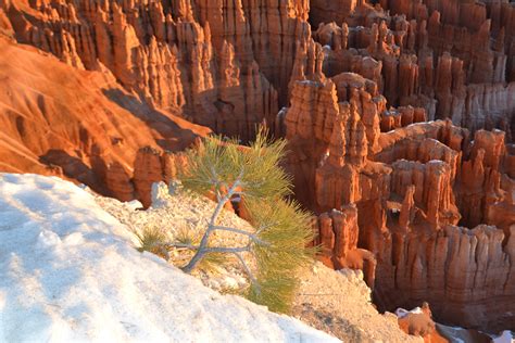 Tips for Visiting Bryce Canyon in Winter - Tips For Family Trips