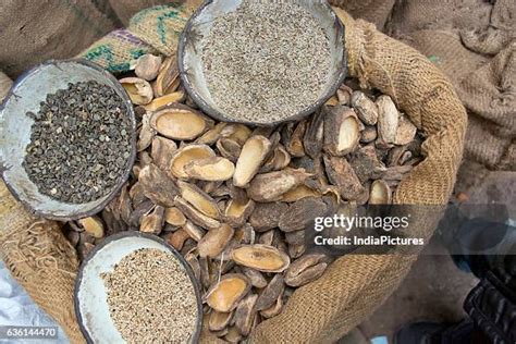 Jackfruit Seeds Photos and Premium High Res Pictures - Getty Images