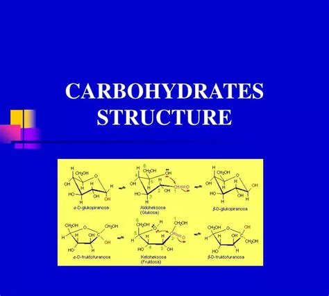 Carbohydrate Structure Diagram