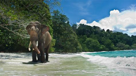 12 National Parks & Wildlife Sanctuaries in Andaman and Nicobar - Tusk ...