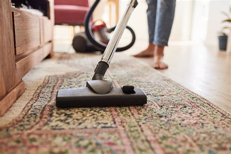 The 8 Best Vacuums for Carpets