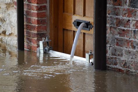 2 More Tips For Choosing The Best Flood Damage Repair Company | Advance ...