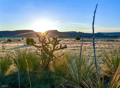 Black Mesa State Park Nature Preserve, an Oklahoma State Nature Preserve