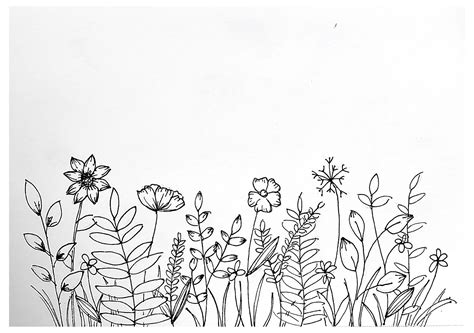 Wildflower Pen Drawing #pen #flower #drawing #simple # ...