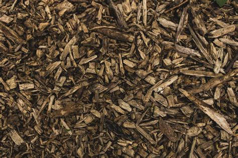 A Guide to Pine Straw Mulch | Georgia Pine Straw