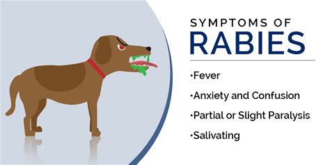 The Early Symptoms of Rabies