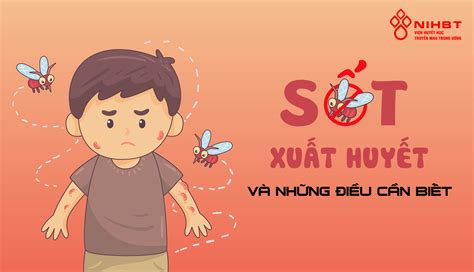 Sốt xuất huyết và những điều cần biết - Viện Huyết học - Truyền máu ...