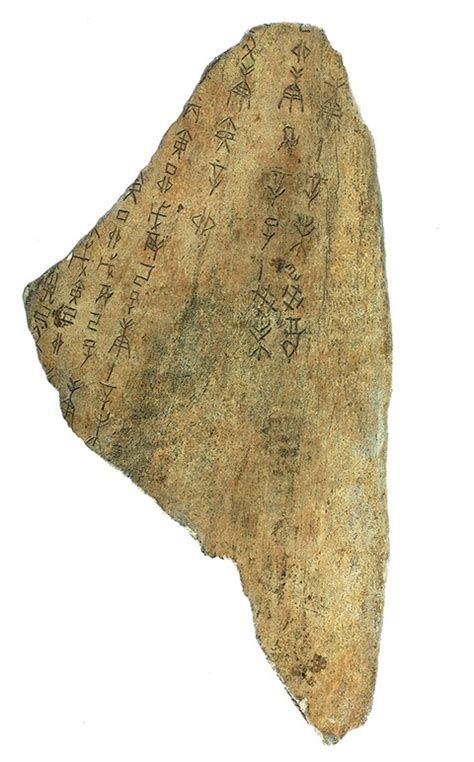 Shang Dynasty oracle bones get Unesco listing