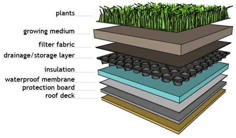 Green roof detail: Everything You Need To Know About Green Roofs