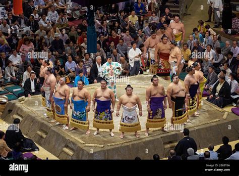 Sumo wrestlers entering sumo wrestling ring for closing ceremony ...