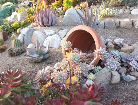 Stunning Succulent Garden Ideas for an Easy Outdoor Oasis