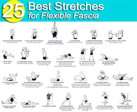 Stretching exercises, Stretch routine, Body stretches