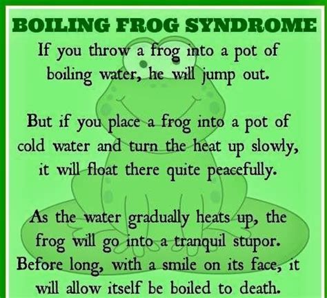 Frog In Boiling Water Quote - zestmoms