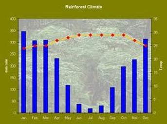 Climate - Tropical Rainforest