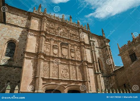 Ornaments Carved in Stone on the Salamanca University Facade Stock ...