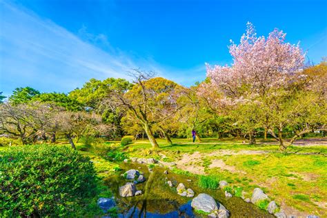 Travel Note of Kyoto for Cherry Blossoms Part 6: Kyoto Gyoen National ...