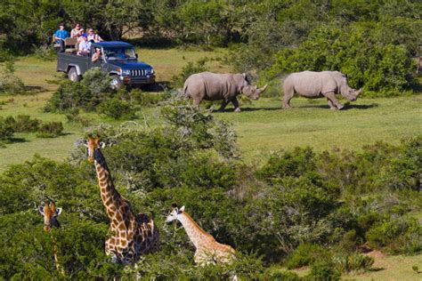 South African Safari and Big 5 Tours - 34° South Tours