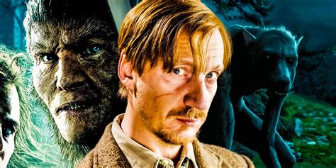 Harry Potter: Why Remus Lupin and Fenrir Greyback Look So Different As ...