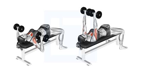 Dumbbell Bench Press - Guide, Benefits, and Form