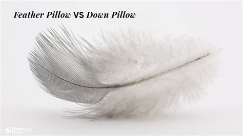 Benefits Of Feather & Down Pillows | Therapeutic Pillow Blog