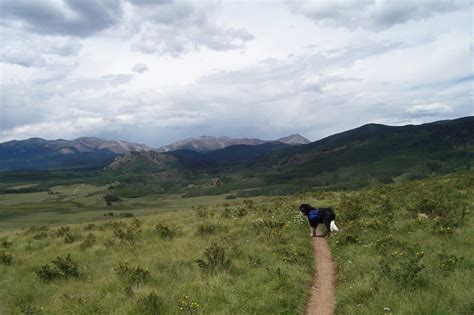 Colorado Trail 2015 – Walking to the light