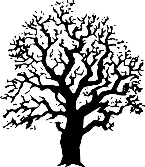 Oaktree Clipart Tree Clipart Black And White