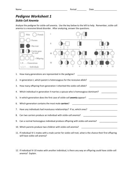 17 pedigree chart worksheet page 2 - Free to Edit, Download & Print ...