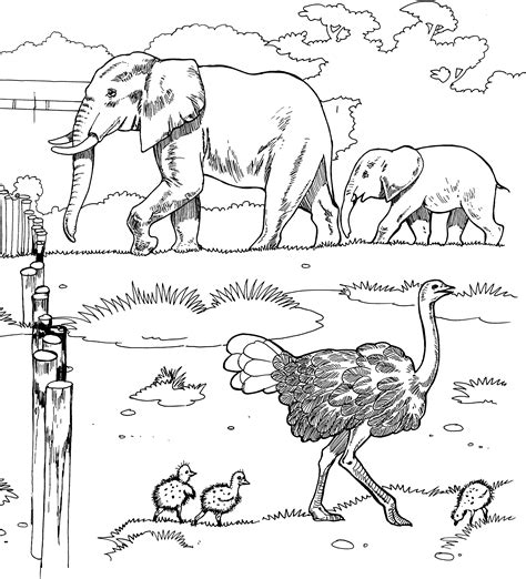 Coloring Pages African Animals