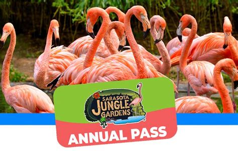 TICKETS & ANNUAL PASSES – Sarasota Jungle Gardens | Annual pass ...