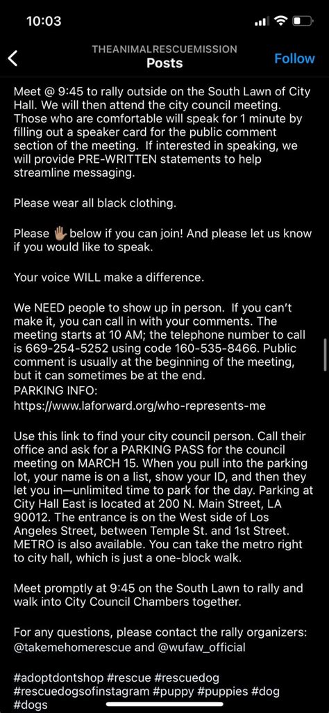 TMR @10AM 3/15 LA city hall protest for animal rights & shelter dog ...