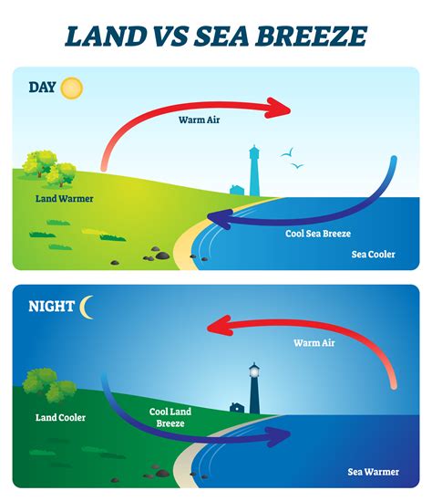 Sea Breeze And Land Breeze Venn Diagram Heat Transfer