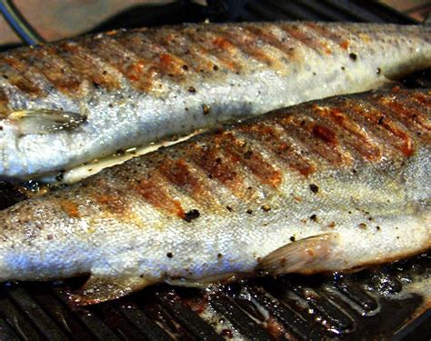 Best Grilled Rainbow Trout Fillet Recipe | Dandk Organizer